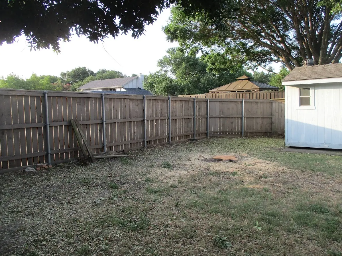 Cleared yard after professional tree removal in Village Mills